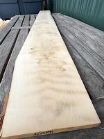 Holly 4/4 Lumber - ** 9-1/8" x 100" **  (Luthiers!)